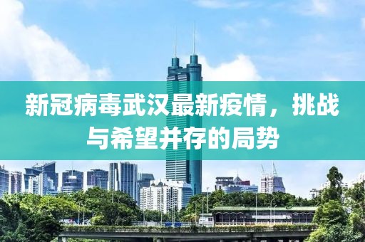 新冠病毒武漢最新疫情，挑戰(zhàn)與希望并存的局勢