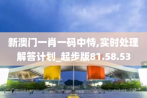 新澳門一肖一碼中恃,實時處理解答計劃_起步版81.58.53