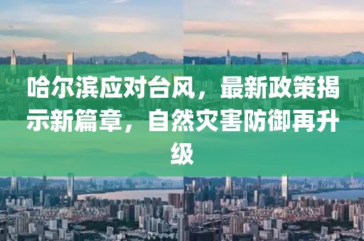 哈爾濱應(yīng)對臺風(fēng)，最新政策揭示新篇章，自然災(zāi)害防御再升級