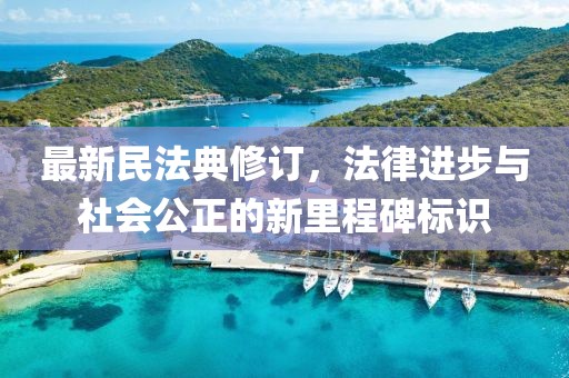 最新民法典修訂，法律進步與社會公正的新里程碑標識
