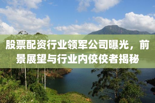 股票配資行業(yè)領(lǐng)軍公司曝光，前景展望與行業(yè)內(nèi)佼佼者揭秘
