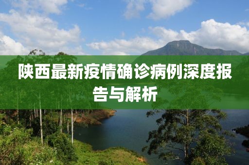 陜西最新疫情確診病例深度報告與解析
