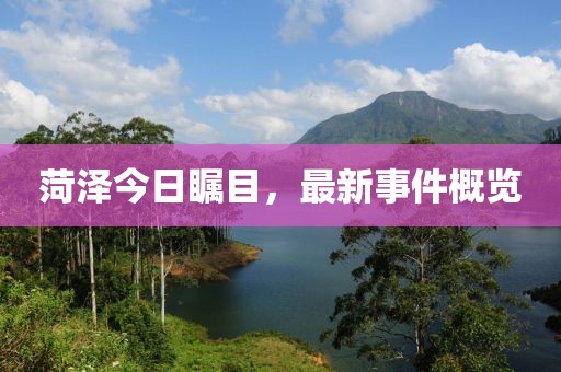 菏澤今日矚目，最新事件概覽