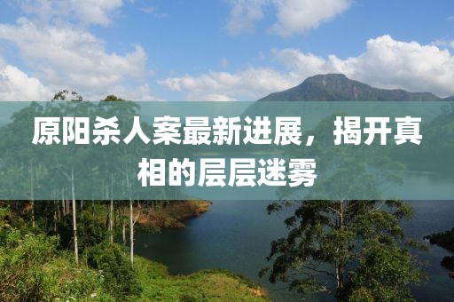 原陽殺人案最新進(jìn)展，揭開真相的層層迷霧