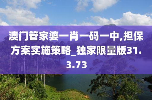 澳門管家婆一肖一碼一中,擔(dān)保方案實(shí)施策略_獨(dú)家限量版31.3.73