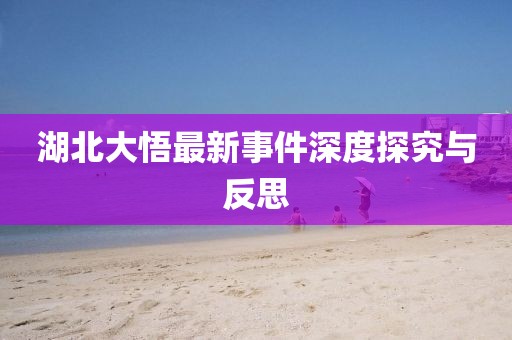 湖北大悟最新事件深度探究與反思