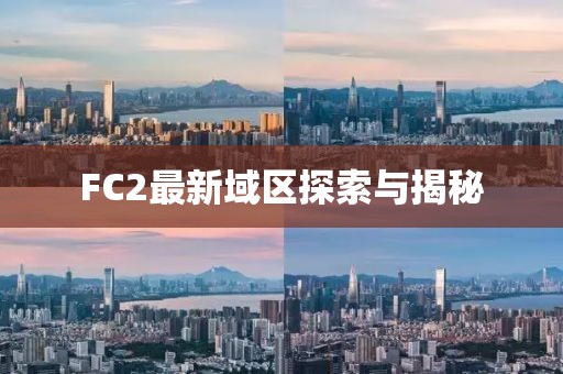 FC2最新域區(qū)探索與揭秘