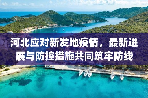 河北應(yīng)對(duì)新發(fā)地疫情，最新進(jìn)展與防控措施共同筑牢防線