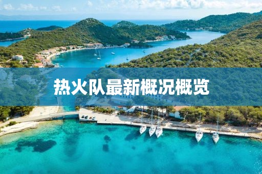 熱火隊(duì)最新概況概覽