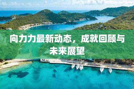 向力力最新動態(tài)，成就回顧與未來展望