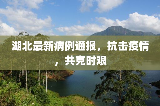 湖北最新病例通報(bào)，抗擊疫情，共克時(shí)艱