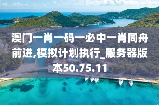 澳門一肖一碼一必中一肖同舟前進(jìn),模擬計劃執(zhí)行_服務(wù)器版本50.75.11
