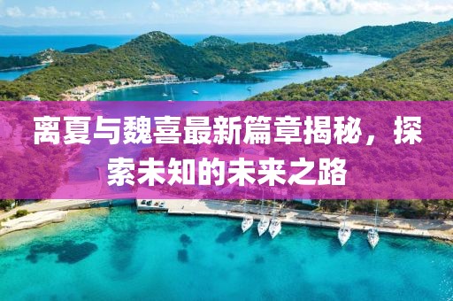 離夏與魏喜最新篇章揭秘，探索未知的未來(lái)之路