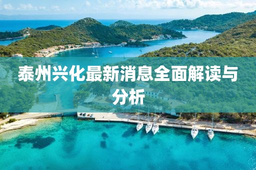 泰州興化最新消息全面解讀與分析