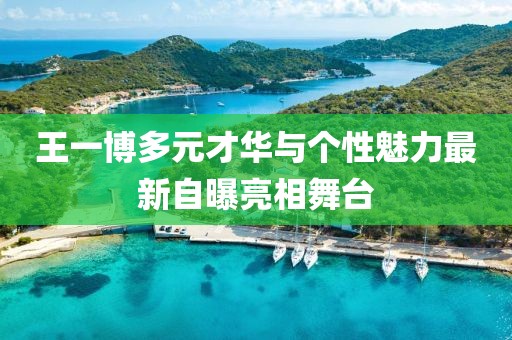 王一博多元才華與個(gè)性魅力最新自曝亮相舞臺(tái)