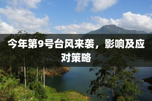 今年第9號臺(tái)風(fēng)來襲，影響及應(yīng)對策略