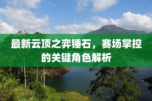 最新云頂之弈錘石，賽場掌控的關(guān)鍵角色解析