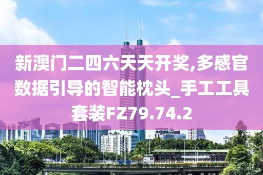 新澳門二四六天天開獎(jiǎng),多感官數(shù)據(jù)引導(dǎo)的智能枕頭_手工工具套裝FZ79.74.2
