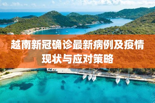 越南新冠確診最新病例及疫情現(xiàn)狀與應(yīng)對策略