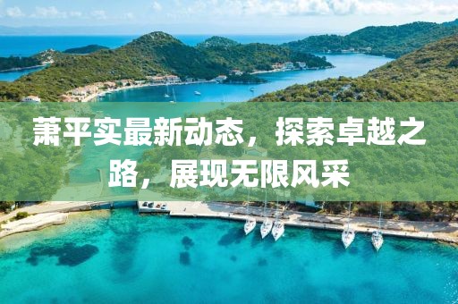 蕭平實(shí)最新動(dòng)態(tài)，探索卓越之路，展現(xiàn)無限風(fēng)采