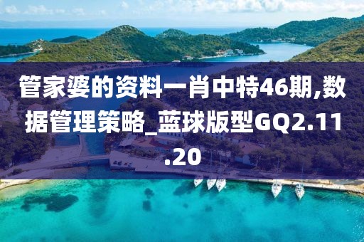 管家婆的資料一肖中特46期,數(shù)據(jù)管理策略_藍球版型GQ2.11.20