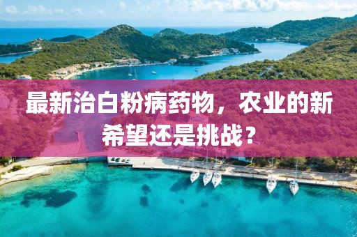 靜待時光