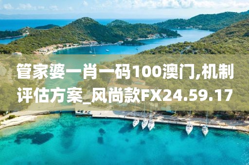 管家婆一肖一碼100澳門,機制評估方案_風尚款FX24.59.17