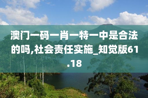 澳門一碼一肖一特一中是合法的嗎,社會(huì)責(zé)任實(shí)施_知覺版61.18
