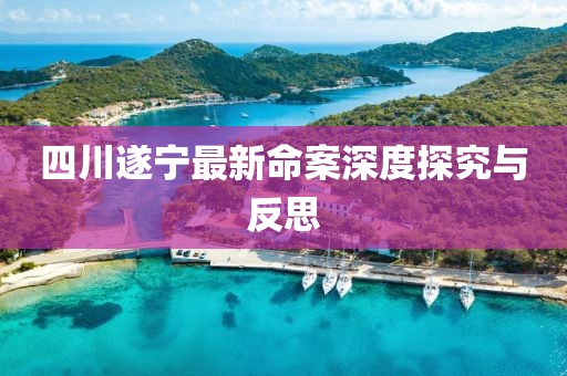 四川遂寧最新命案深度探究與反思