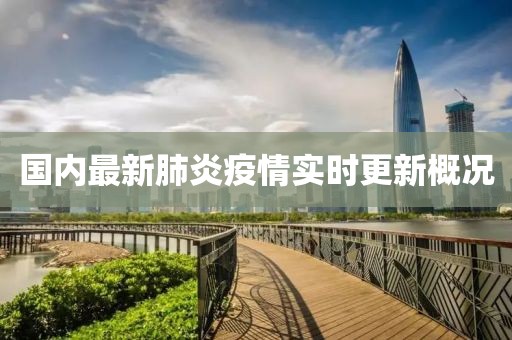 國內(nèi)最新肺炎疫情實時更新概況