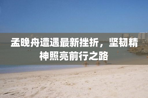 孟晚舟遭遇最新挫折，堅(jiān)韌精神照亮前行之路