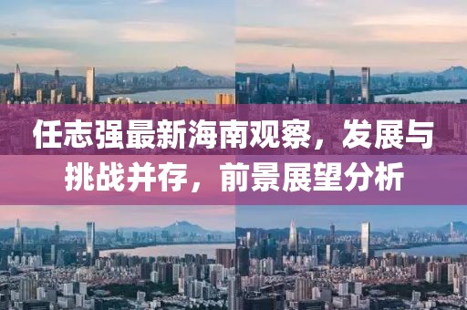 任志強(qiáng)最新海南觀察，發(fā)展與挑戰(zhàn)并存，前景展望分析