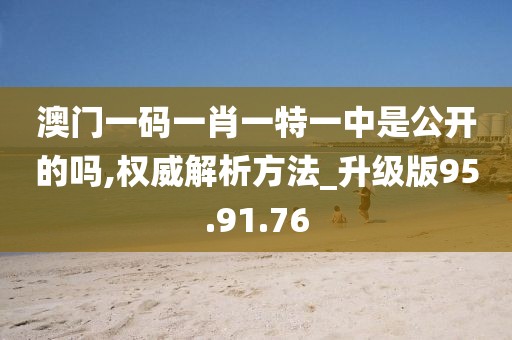 澳門一碼一肖一特一中是公開的嗎,權(quán)威解析方法_升級版95.91.76