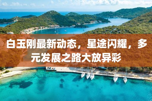 白玉剛最新動態(tài)，星途閃耀，多元發(fā)展之路大放異彩