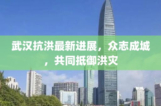 武漢抗洪最新進展，眾志成城，共同抵御洪災