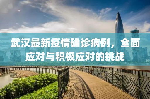 武漢最新疫情確診病例，全面應(yīng)對(duì)與積極應(yīng)對(duì)的挑戰(zhàn)
