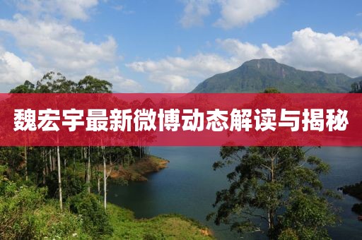 魏宏宇最新微博動(dòng)態(tài)解讀與揭秘