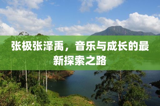張極張澤禹，音樂(lè)與成長(zhǎng)的最新探索之路