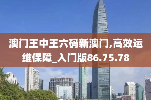 澳門王中王六碼新澳門,高效運(yùn)維保障_入門版86.75.78