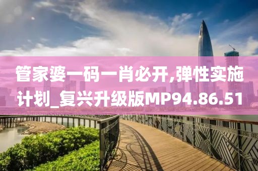 管家婆一碼一肖必開,彈性實施計劃_復興升級版MP94.86.51