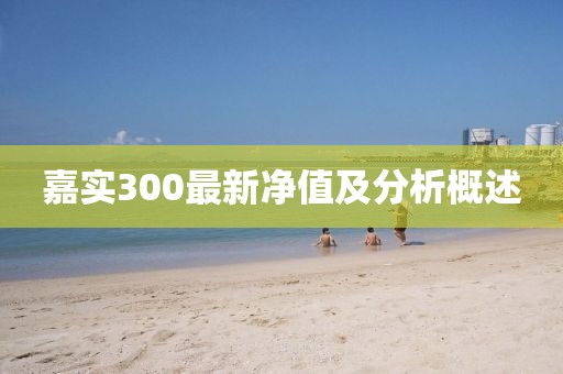 嘉實(shí)300最新凈值及分析概述