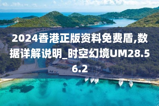 2024香港正版資料免費盾,數(shù)據(jù)詳解說明_時空幻境UM28.56.2