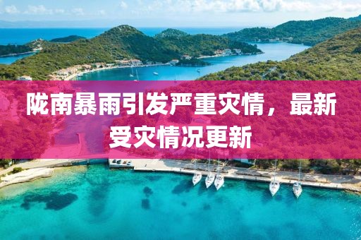 隴南暴雨引發(fā)嚴(yán)重災(zāi)情，最新受災(zāi)情況更新