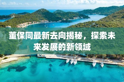 董保同最新去向揭秘，探索未來發(fā)展的新領域