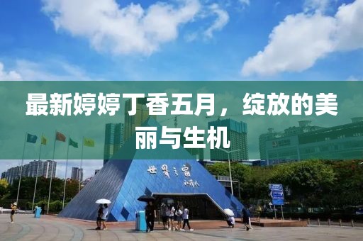 最新婷婷丁香五月，綻放的美麗與生機(jī)