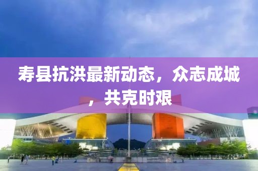 壽縣抗洪最新動態(tài)，眾志成城，共克時艱