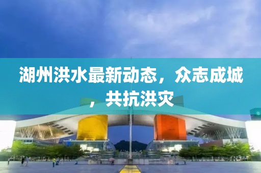 湖州洪水最新動(dòng)態(tài)，眾志成城，共抗洪災(zāi)