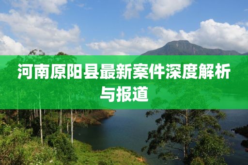 河南原陽縣最新案件深度解析與報道
