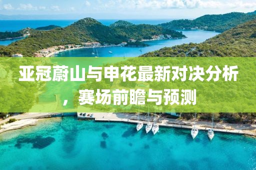 亞冠蔚山與申花最新對決分析，賽場前瞻與預(yù)測