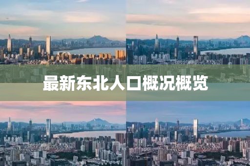 最新東北人口概況概覽